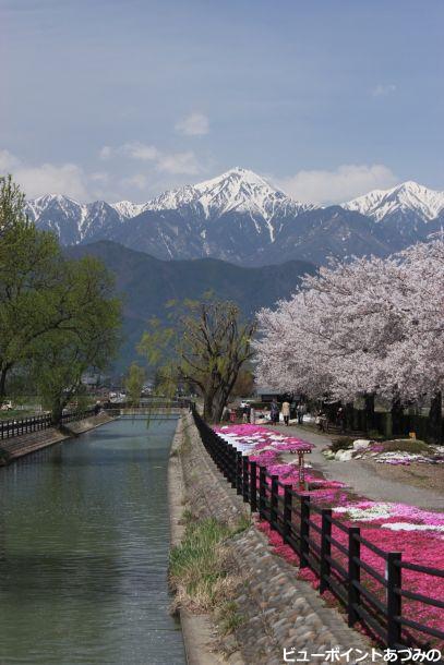 春の絶景