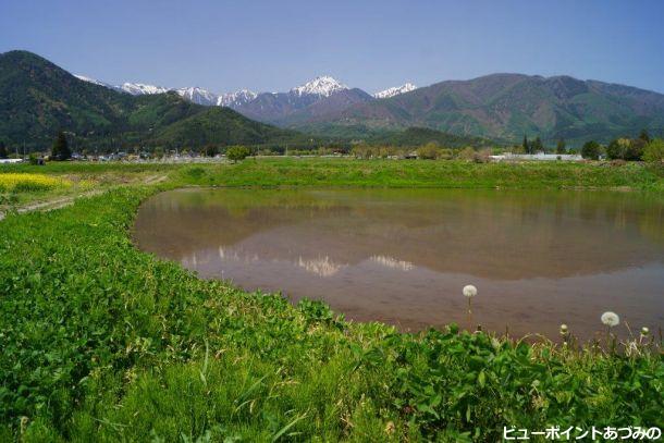 新緑の安曇野