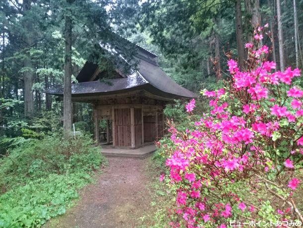 山門を彩るツツジ