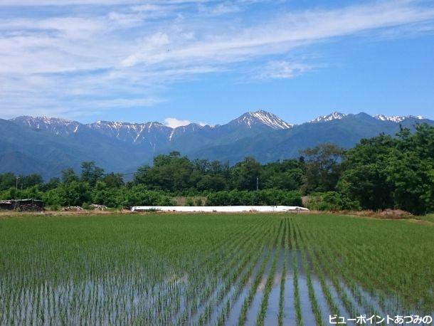 初夏の田園