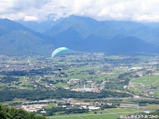 夏空に舞う