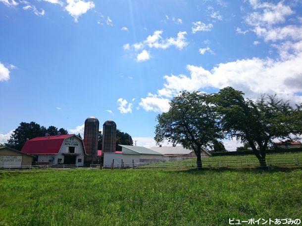 夏の北アルプス牧場