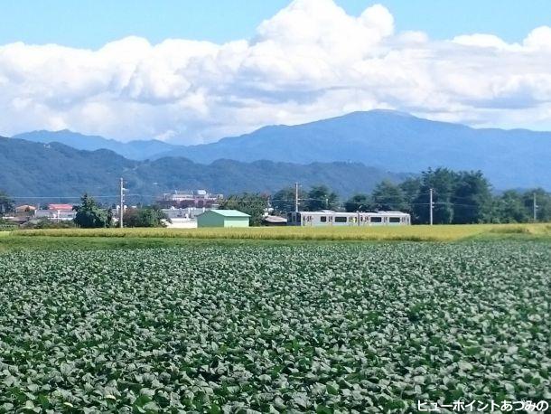 田園を駆けぬけて