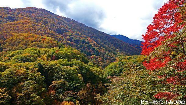 烏川渓谷の紅葉