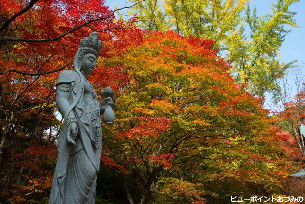 紅葉の霊松寺