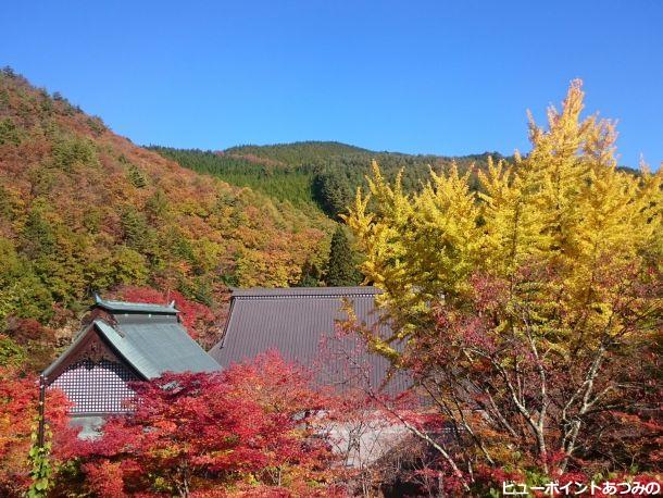秋色の霊松寺