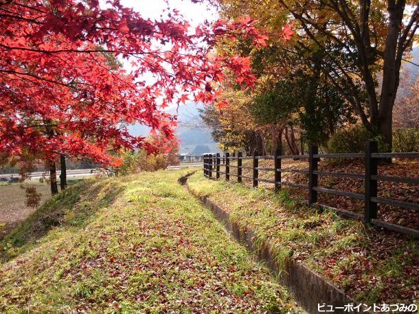 晩秋の公園