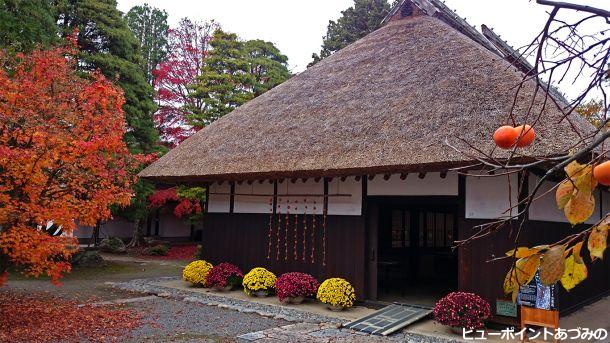 秋の高橋節郎生家