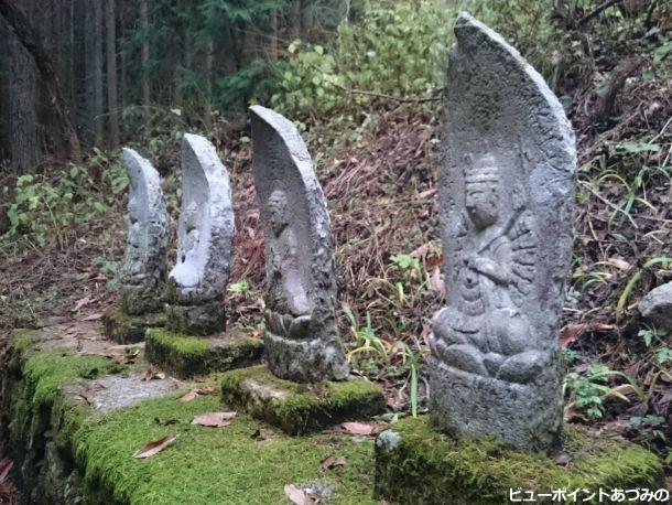 苔むした石仏群