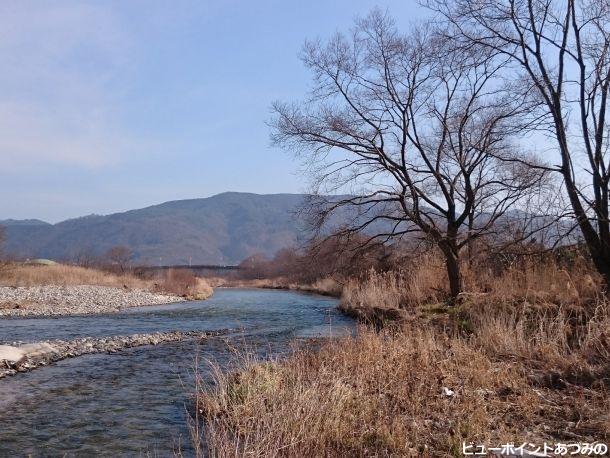 大木と穂高川