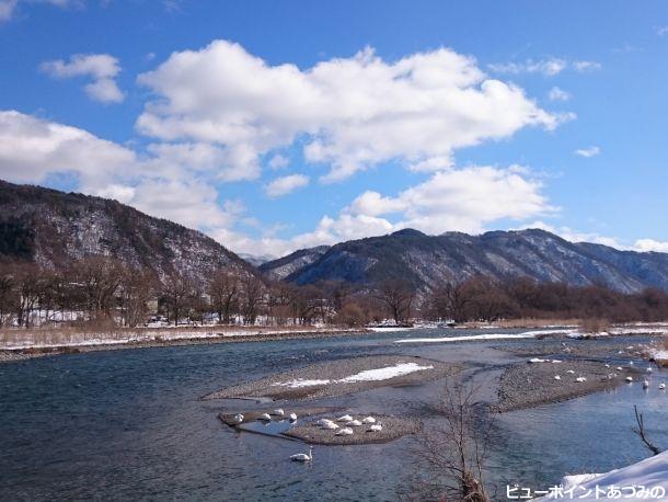 犀川白鳥湖