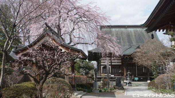 東光寺の春