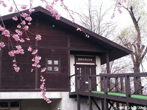 田淵記念館の百楽桜