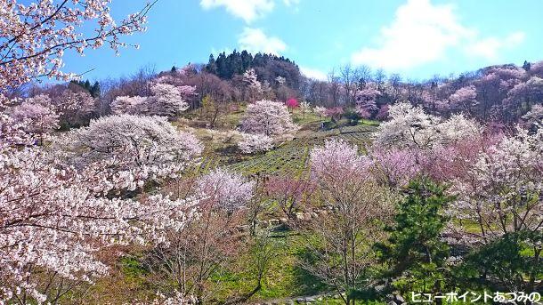 桃源郷のような陸郷