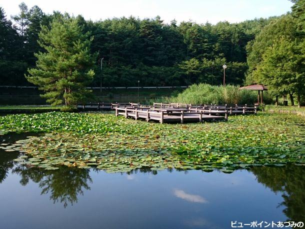 水上の楽園