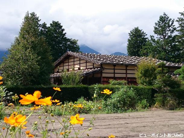 曽根原家の秋