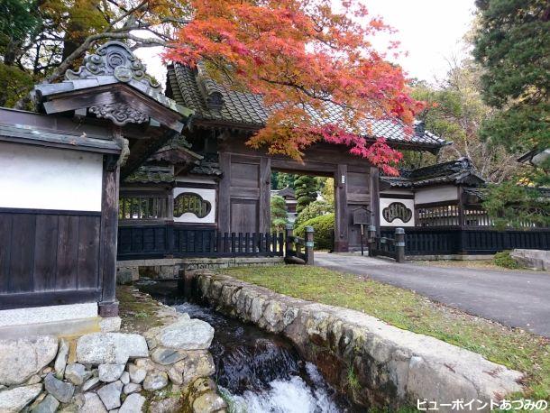 山門の紅葉