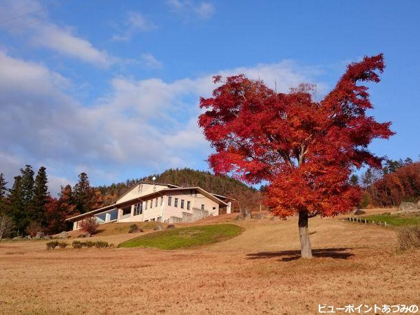 創造館と紅葉