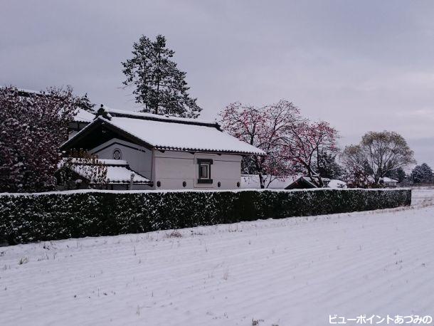 晩秋の雪景色