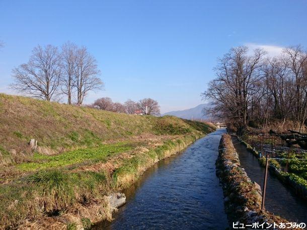 湧水の流れ