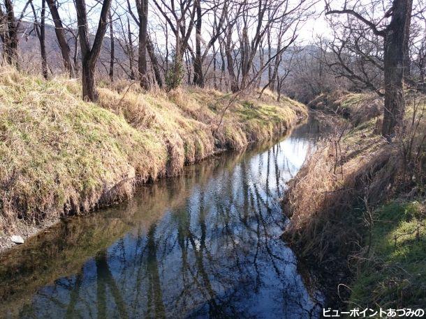 湧水の小川