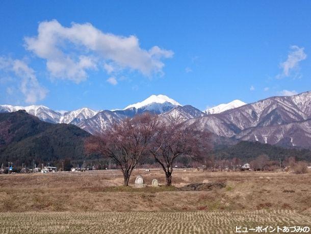 早春の常念道祖神