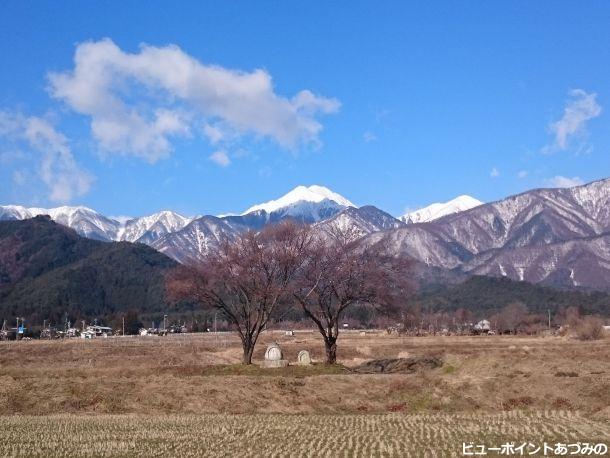 早春の常念道祖神