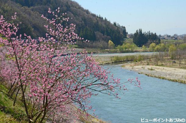 春色の犀川