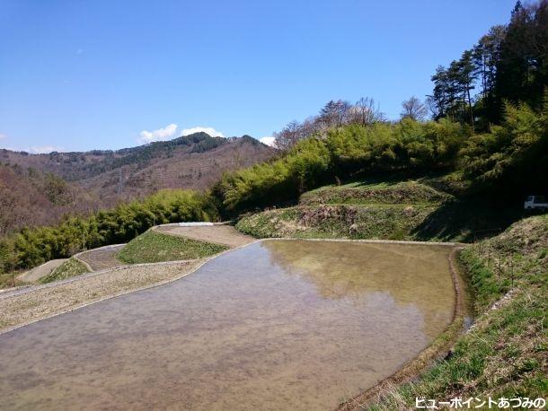 棚田と竹林