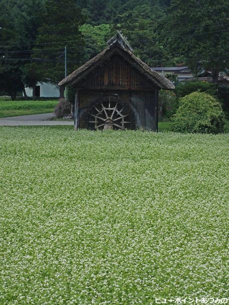 昭和の風景