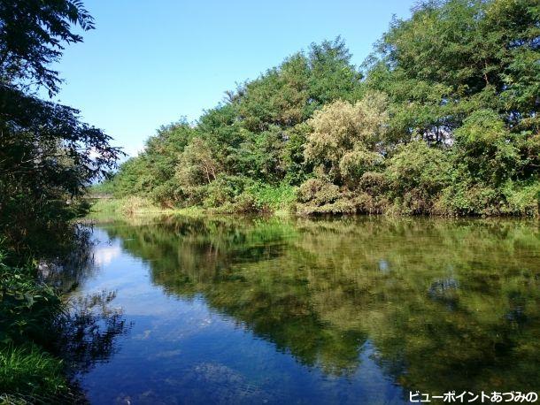 三角島湧水池