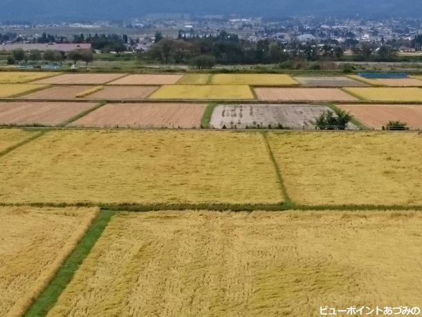 田園のパッチワーク