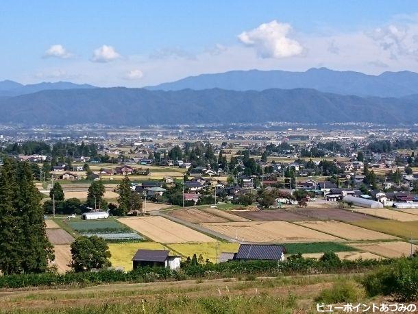 秋の田園と屋敷林