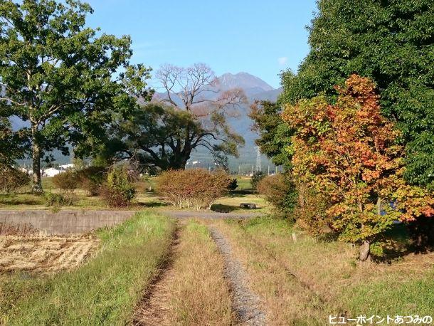 秋色の田舎路と常念