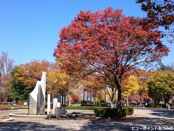 文化の日の文化公園