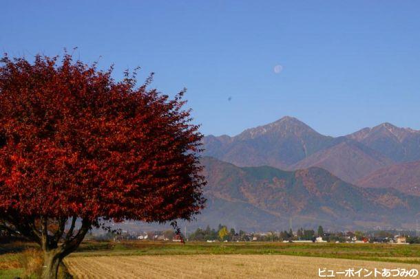 常念岳遠望