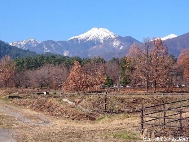 雪化粧した常念