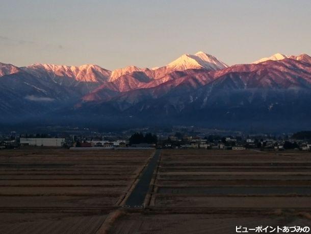 展望室から望む朝