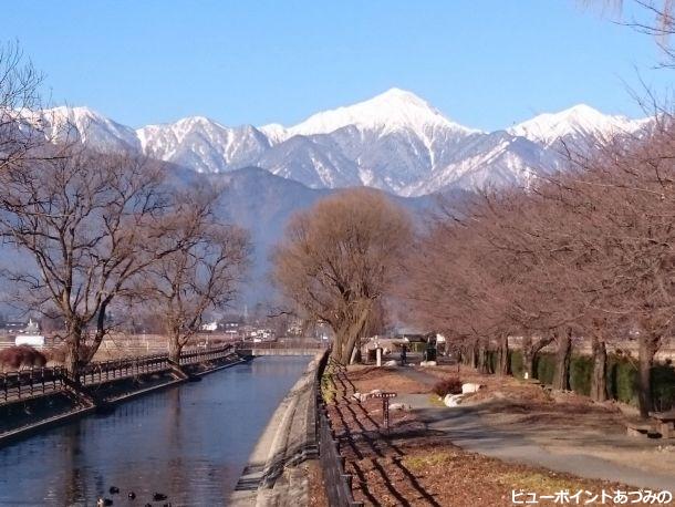 落葉樹と拾ヶ堰