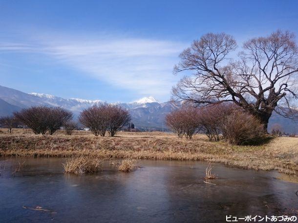 池と柳と蝶常念