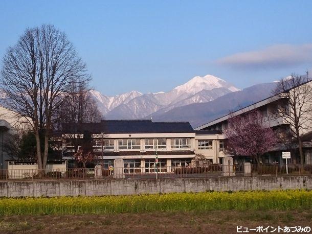 菜の花と常念岳