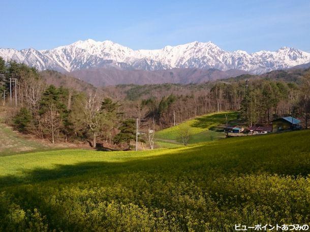 中山高原の春