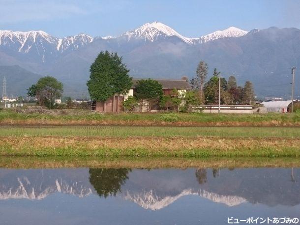 屋敷林と常念岳