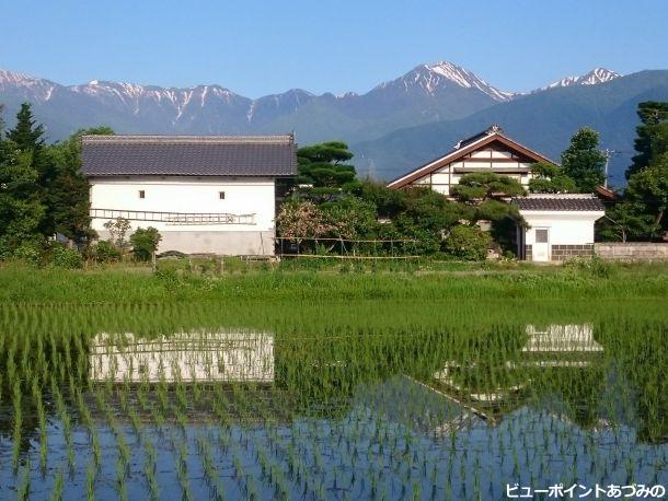 青田と蔵と蝶常念