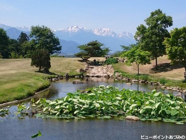 蓮池と後立山連峰