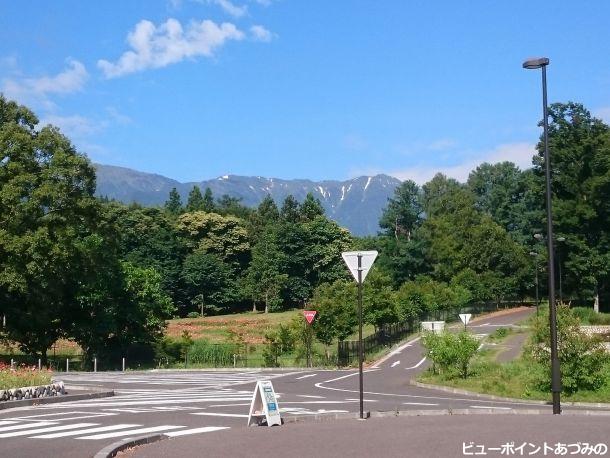 蝶ヶ岳の雪形「蝶」