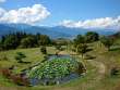 蓮池と後立山連峰