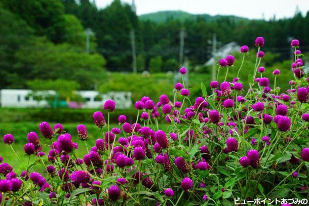 中綱湖通過