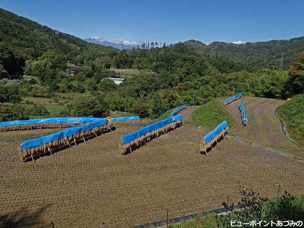 棚田のある風景