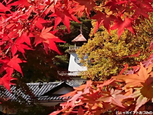 紅葉の時計台